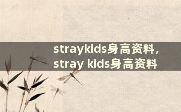 straykids身高资料,stray kids身高资料